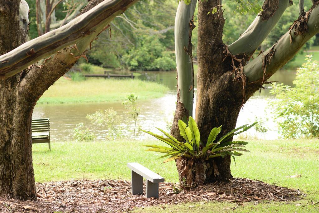 Mccarthy Lake House Maleny Extérieur photo